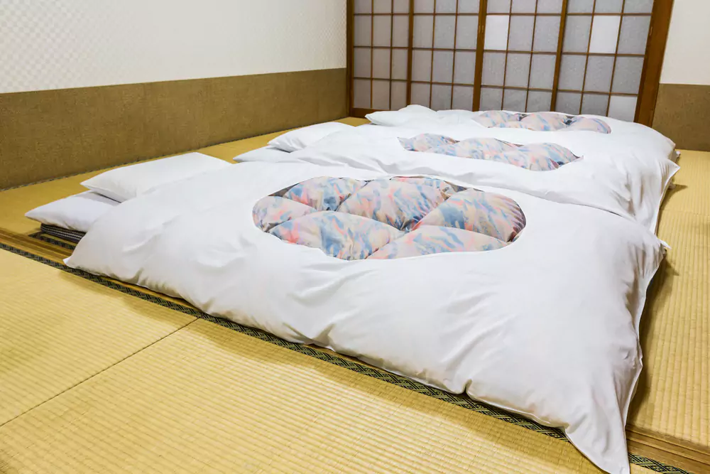 Ryokan Hotels - Best Hotels to Stay in Tokyo