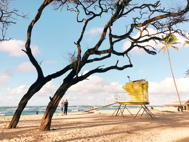 Best Areas to Stay in Maui for Couples (2025 Romantic Guide) 5 Paul Matheson - Baldwin Beach, Paia, United States