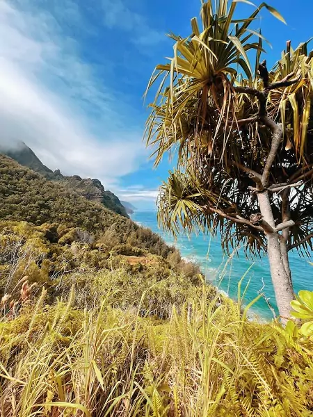 Kauai Hawaii Allie Feeley